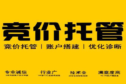 案例分析：SEM搜索引擎优化效果提升之道